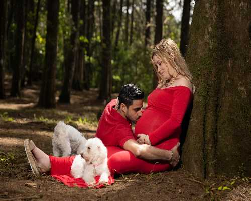 试管代怀能代怀吗,坤和代生价格,本溪先天性子宫内膜薄能做三代试管吗？