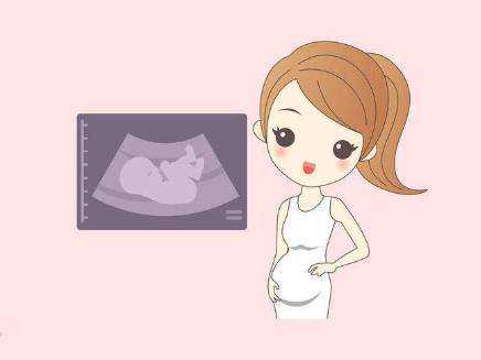 武汉做借卵试管婴儿私立医院排名，附2026借卵价格表一览!,怎么找供卵