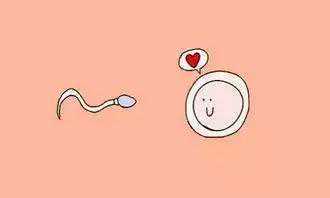 株洲妇幼保健院做借卵三代试管选性别要多少钱？,试管代怀代生机构