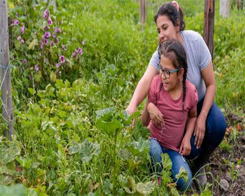 Clomifene Citrate Tablets三代包成功代生网促排效果如何！费用是全包吗？